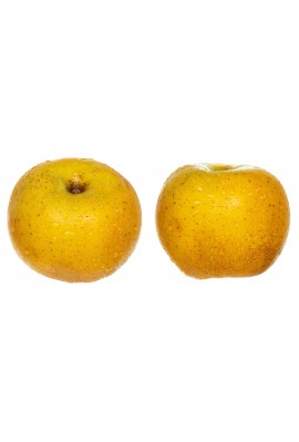 Pomme Chanteclerc des Landes