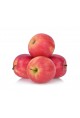 Pomme Pink