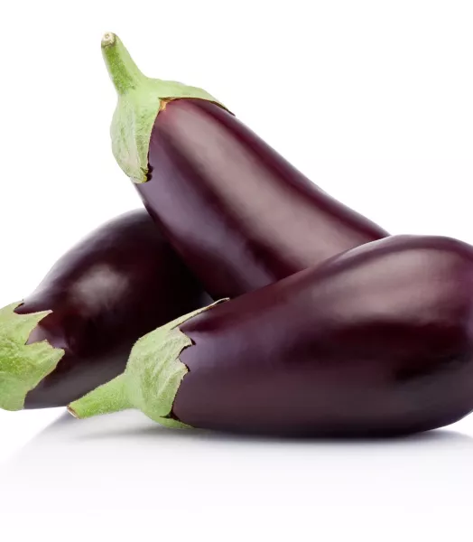 Aubergine Bio de la ferme
